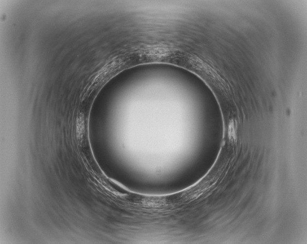 X0000087701299200705041053