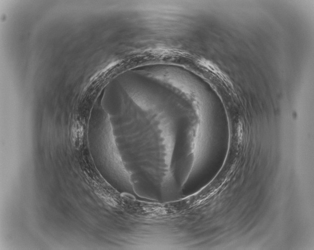 X0000087701302200705041053
