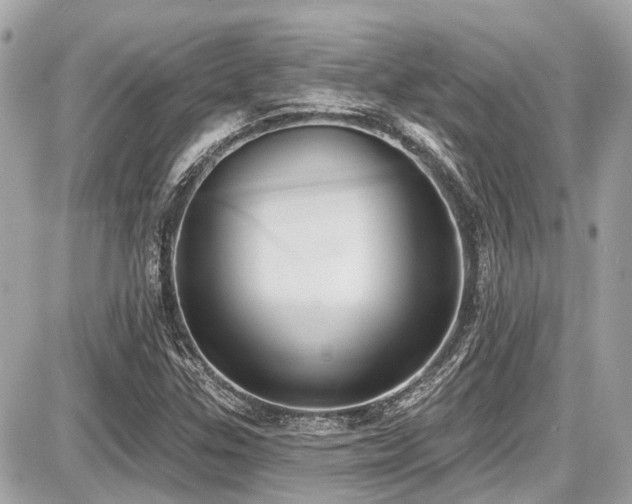 X0000087701307200705041053