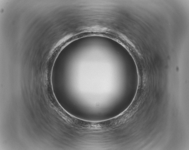 X0000087701315200705041053