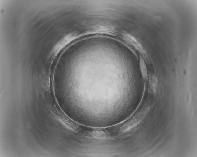 X0000087701316200705041053