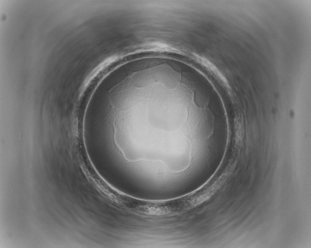 X0000087701318200705041053