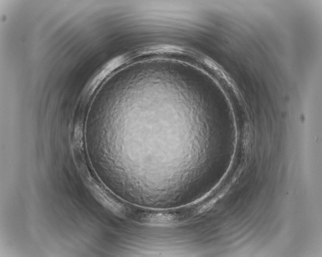 X0000087701321200705041053