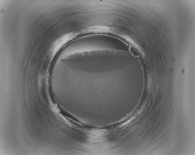 X0000087701325200705041053