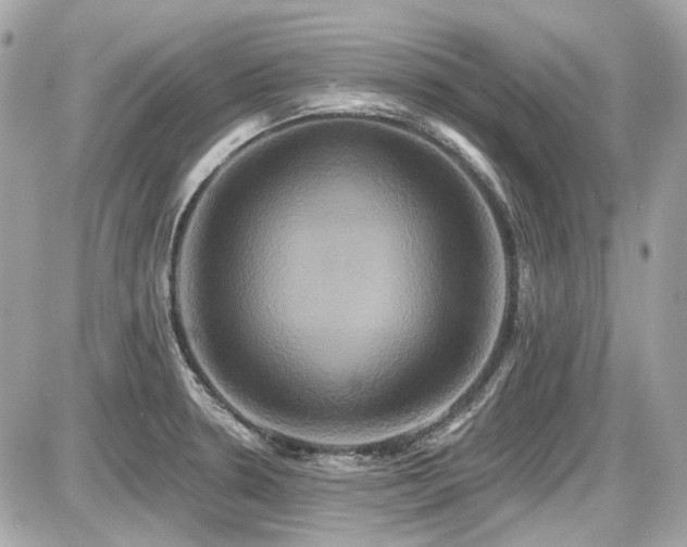 X0000087701330200705041053
