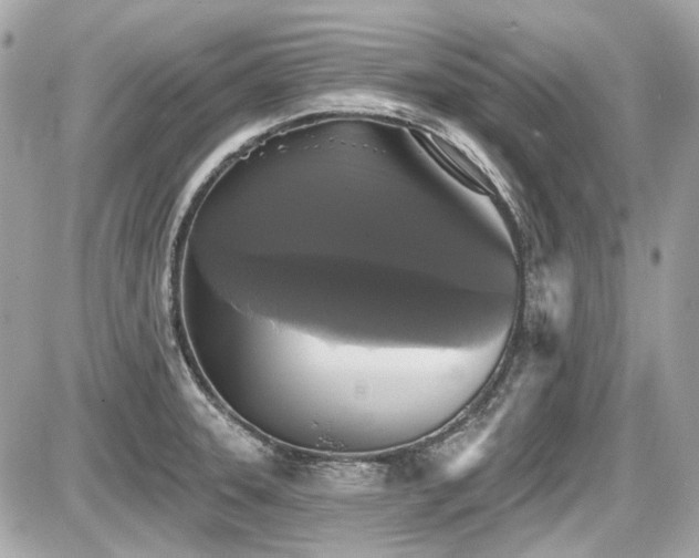 X0000087701331200705041053