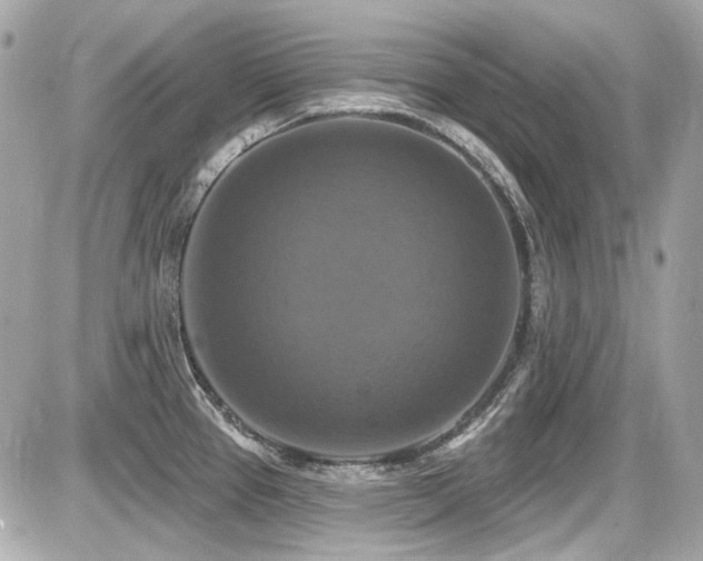X0000087701337200705041053