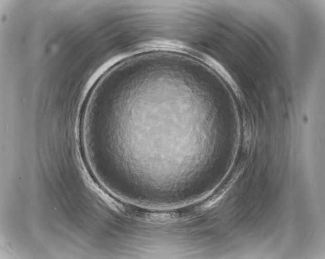 X0000087701339200705041053