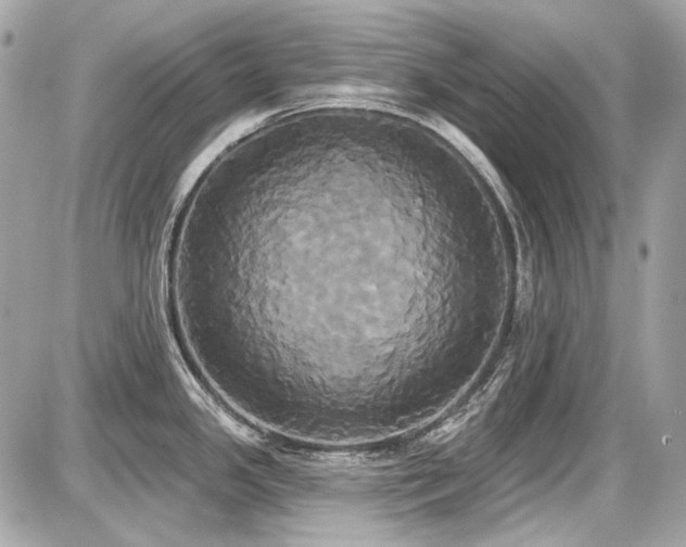 X0000087701341200705041053