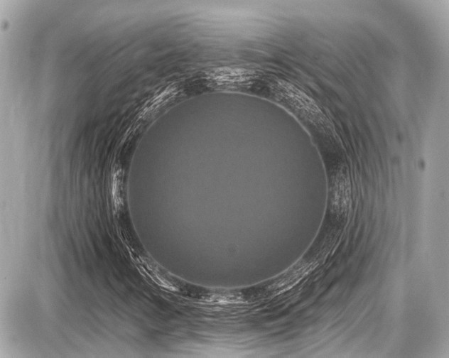 X0000087701346200705041053