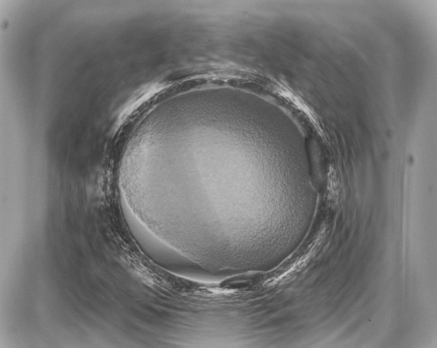X0000087701352200705041052
