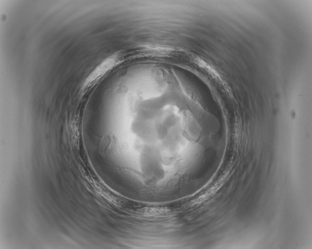 X0000087701354200705041052