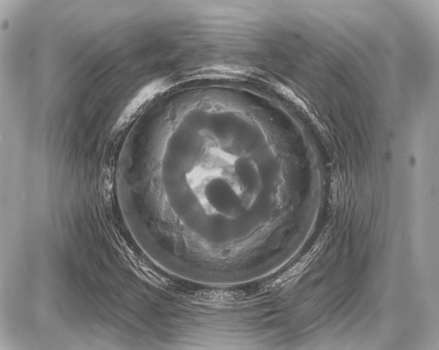 X0000087701355200705041052