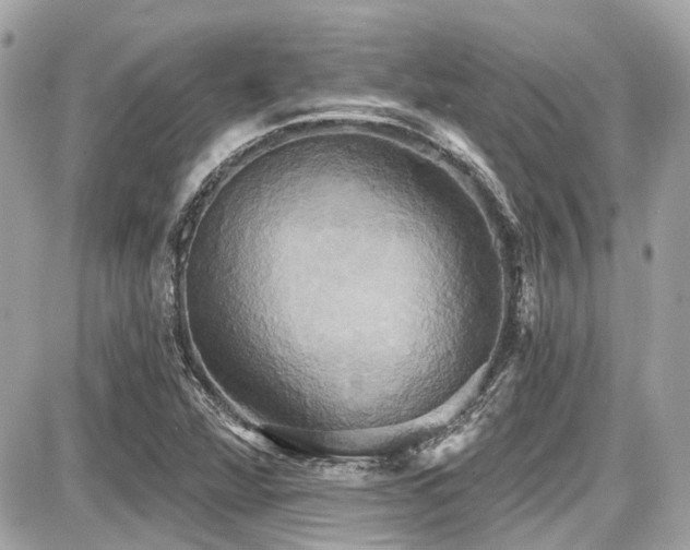 X0000087701360200705041052