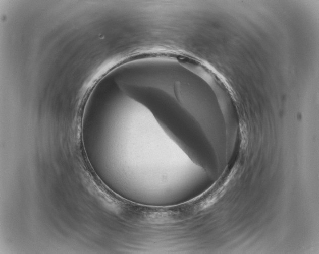 X0000087701367200705041052