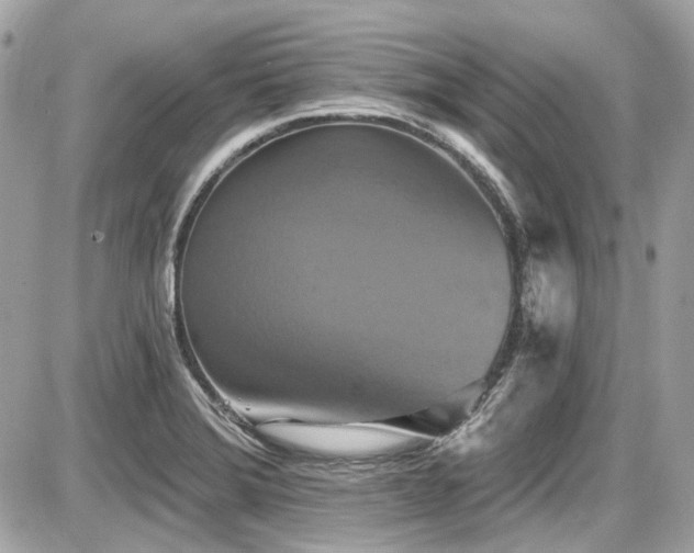 X0000087701372200705041052
