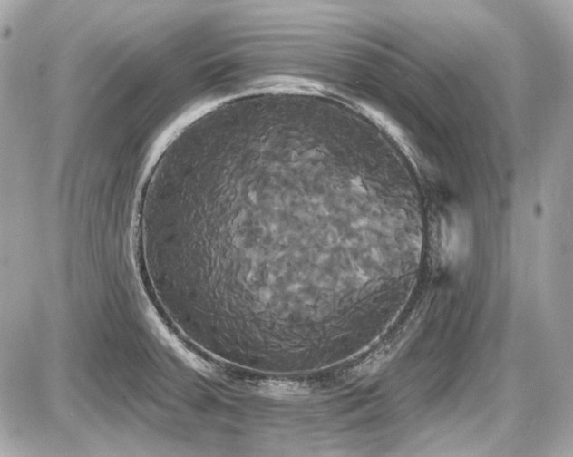 X0000087701379200705041052