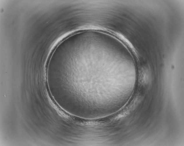 X0000087701380200705041052
