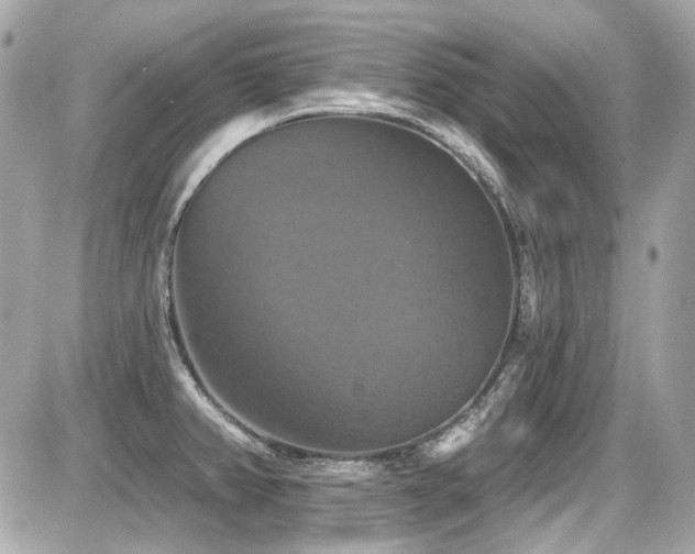 X0000087701382200705041052