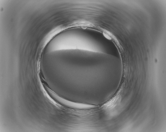 X0000087701383200705041052
