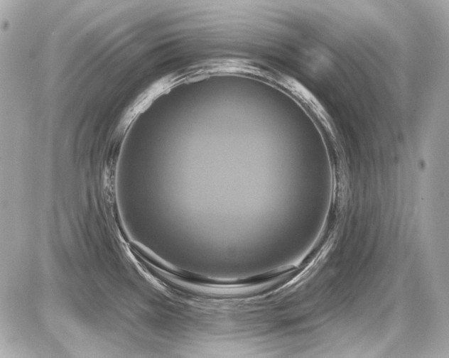 X0000087701385200705041052