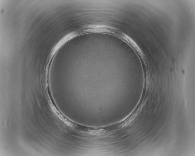 X0000087701386200705041052