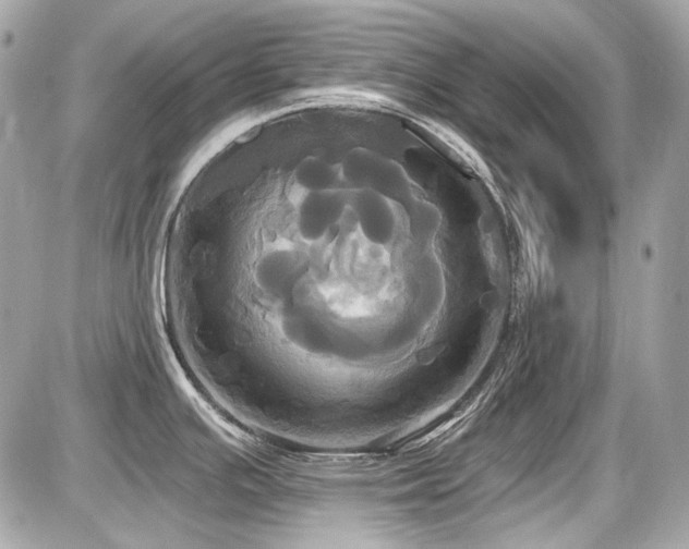 X0000087701391200705041052