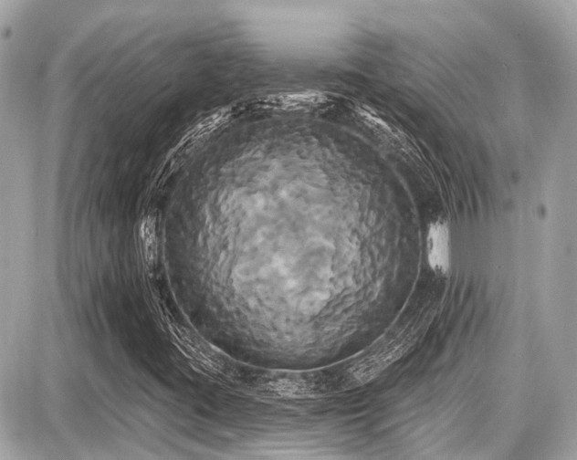 X0000087701395200705041051