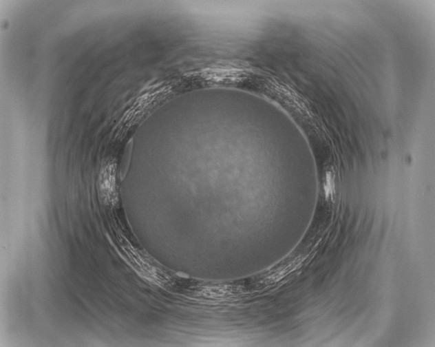 X0000087701396200705041051