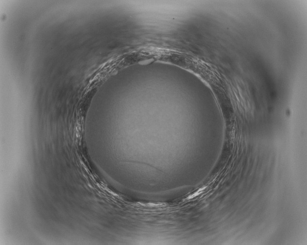 X0000087701397200705041051