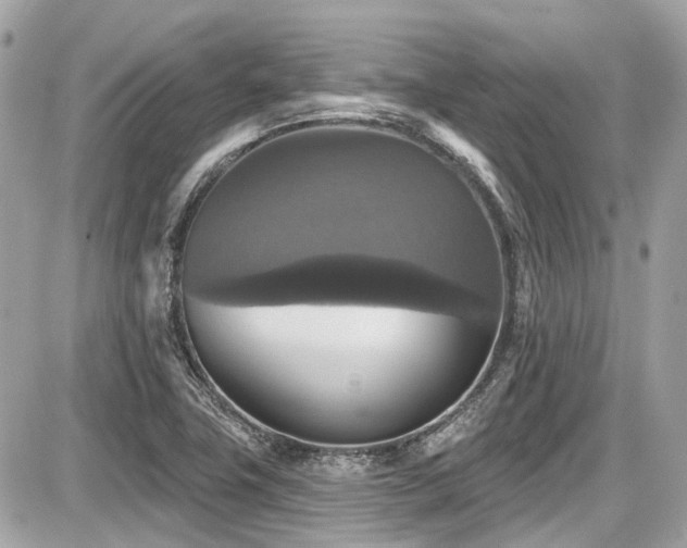 X0000087701411200705041051