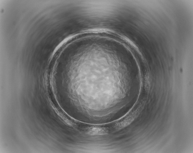 X0000087701412200705041051