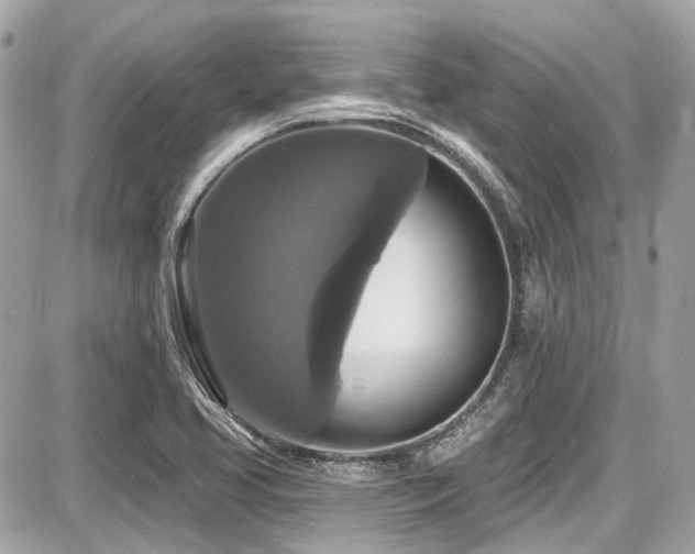 X0000087701413200705041051