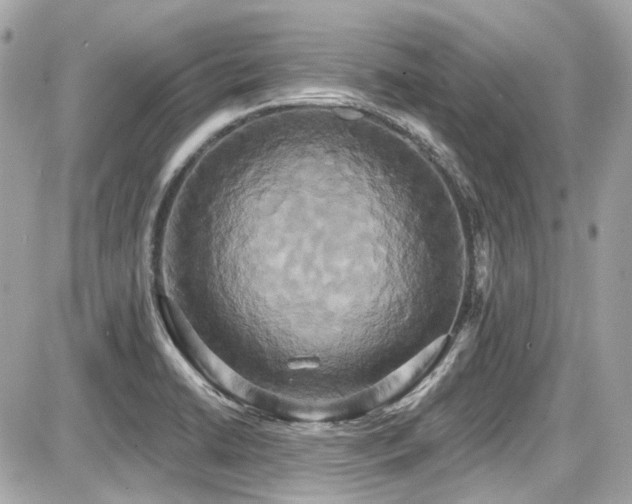 X0000087701422200705041051