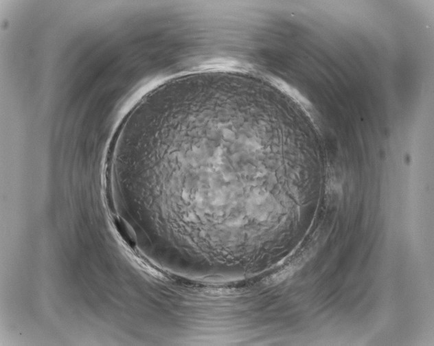 X0000087701423200705041051