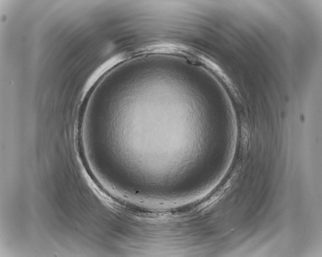 X0000087701426200705041052