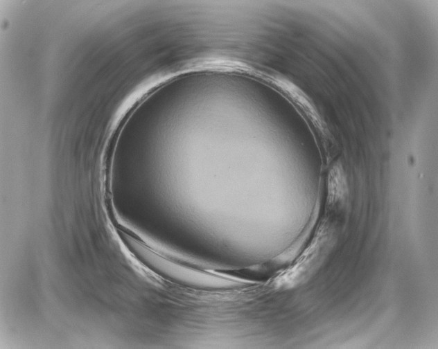 X0000087701430200705041052