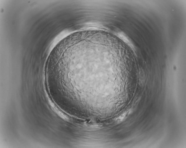 X0000087701431200705041052