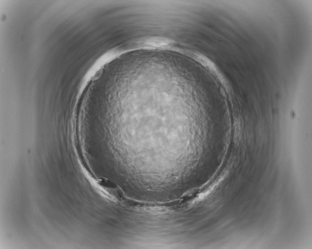 X0000087701432200705041052