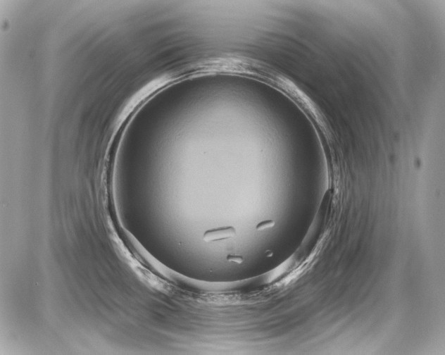 X0000087701434200705041052