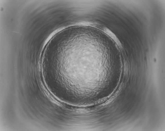 X0000087701436200705041052
