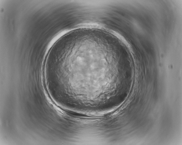 X0000087701440200705041052
