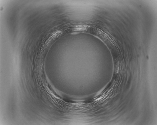 X0000087701441200705041051