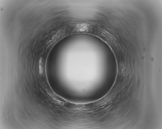 X0000087701442200705041051