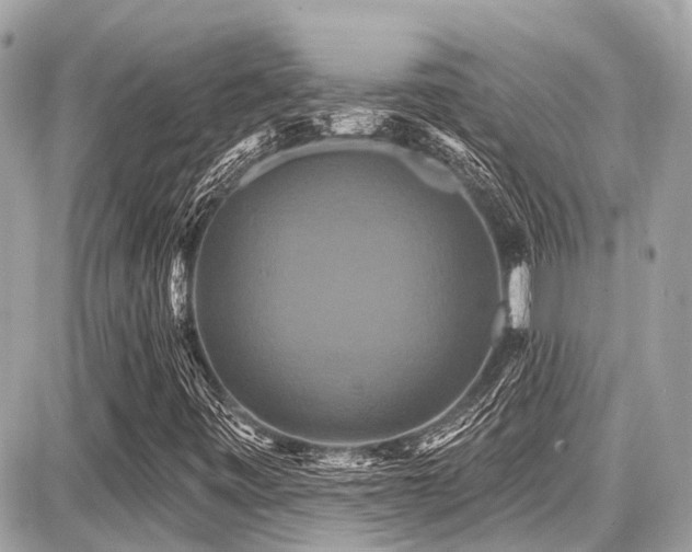 X0000087701443200705041051