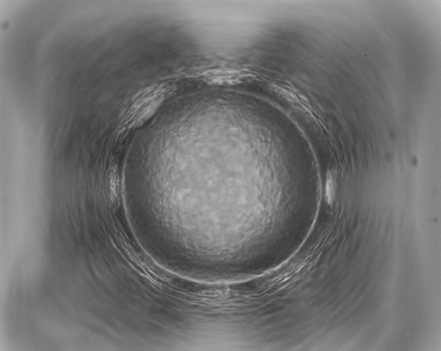X0000087701444200705041051