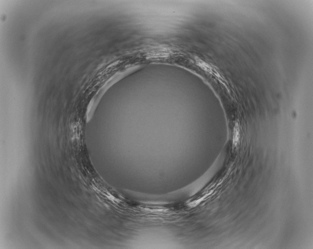 X0000087701445200705041051
