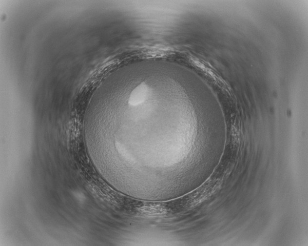 X0000087701447200705041051