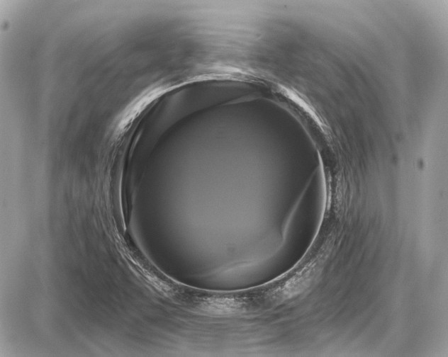 X0000087701455200705041051