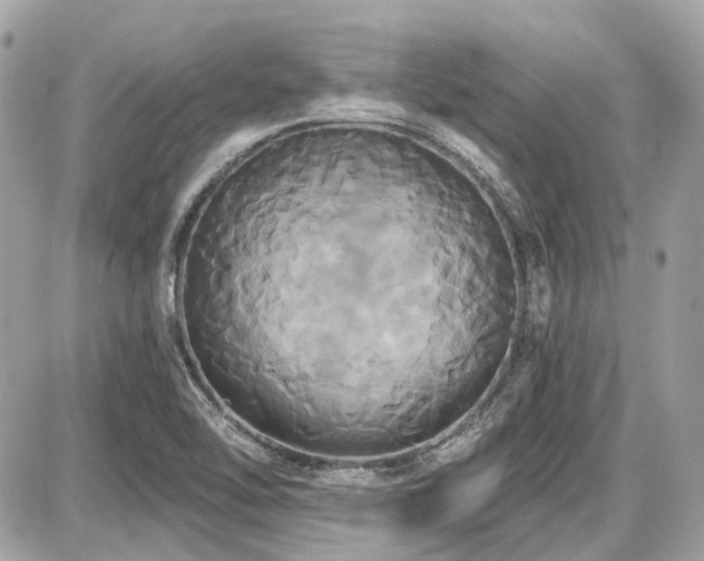X0000087701462200705041051